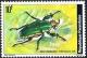 Colnect-2396-414-Flower-Chafer-Mecynorhina-torquata.jpg