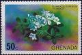 Colnect-3872-978-Plumbago-Plumbago-capensis.jpg