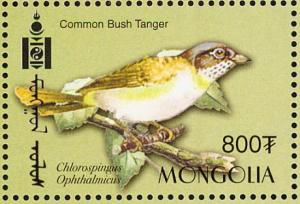Colnect-1290-200-Common-Bush-Tanager-Chlorospingus-ophthalmicus.jpg