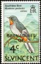 Colnect-1753-943-Rufous-throated-Solitaire%C2%A0Myadestes-genibarbis-genibarbis.jpg