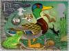 Colnect-122-736-Mallard-and-Frog.jpg