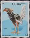 Colnect-1409-908-Pinto-Gallus-gallus-domesticus.jpg