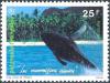 Colnect-3226-801-Humpback-Whale-Megaptera-novaeangliae.jpg