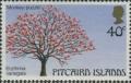 Colnect-3955-251-Indian-coral-tree-Erythrina-varigata.jpg