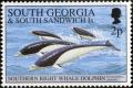 Colnect-5169-445-Southern-Right-Whale-Dolphin-Lissodelphis-peronii.jpg