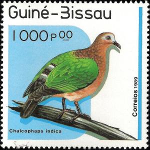 Colnect-1175-692-Common-Emerald-Dove-Chalcophaps-indica.jpg