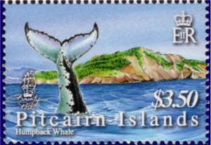 Colnect-2518-643-Humpback-Whale-Megaptera-novaeangliae.jpg