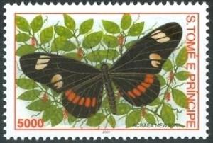 Colnect-2548-773-Acraea-Swallowtail-Acraea-newtoni.jpg