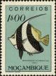 Colnect-4563-970-Pennant-Coralfish-Heniochus-acuminatus.jpg
