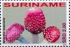 Colnect-4044-934-Amanita-muscaria.jpg