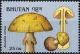 Colnect-2930-756-Amanita-citrina.jpg