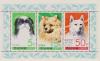 Colnect-1694-476-Dogs-Canis-lupus-familiaris.jpg