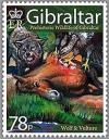Colnect-2120-999-Wolf-Canis-lupus-and-Vulture.jpg