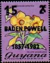 Colnect-4745-071-Yellow-Alamanda-Baden-Powell-1857-1982.jpg