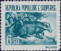 Colnect-4081-764-European-Badger-Meles-meles.jpg