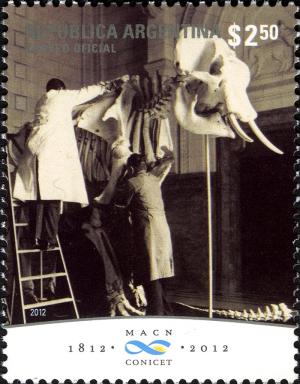 Colnect-5146-811-Skeleton-of-an-Elephant-died-in-the-Zoo.jpg