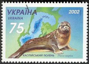 Colnect-5509-291-Caspian-Seal-Phoca-caspica.jpg