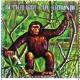 Colnect-1492-996-Chimpanzee-Pan-troglodytes.jpg
