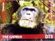 Colnect-3611-900-Chimpanzee-Pan-troglodytes.jpg