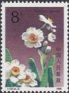 Colnect-603-530-Narcissus-Tazetta.jpg