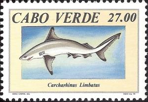 Colnect-1129-280-Blacktip-Shark-Carcharhinus-limbatus-.jpg