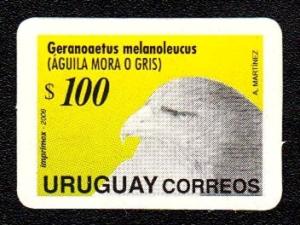 Colnect-2617-704-Black-chested-Buzzard-eagle-Geranoaetus-melanoleucus.jpg