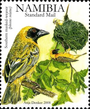 Colnect-2769-586-White-browed-Sparrow-weaver-Plocepasser-mahali.jpg