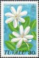 Colnect-3745-287-Gardenia-taitensis.jpg