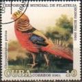 Colnect-2110-478-Golden-Pheasant-Chrysolophus-pictus.jpg