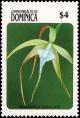 Colnect-2293-272-Brassavola-Cucullata.jpg