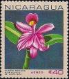 Colnect-2068-065-Cattleya-skinneri.jpg