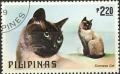 Colnect-2918-111-Siamese-Cat-Felis-silvestris-catus.jpg