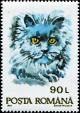 Colnect-4900-228-Domestic-Cat-Felis-silvestris-catus.jpg