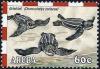 Colnect-1393-566-Leatherback-Sea-Turtle-Dermochelys-coriacea.jpg