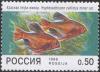 Colnect-4142-384-Jewel-Tetra-Hyphessobrycon-callistus.jpg