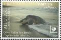 Colnect-6578-280-Olive-Ridley-Sea-Turtle-Lepidochelys-olivacea.jpg