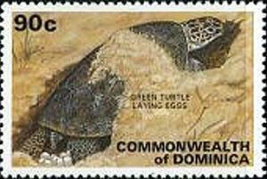 Colnect-2313-522-Green-Sea-Turtle-Chelonia-mydas.jpg