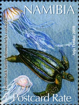 Colnect-3063-973-Leatherback-Sea-Turtle-Dermochelys-coriacea.jpg