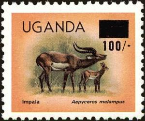Colnect-4277-798-Impala-Aepyceros-melampus.jpg