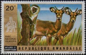 Colnect-955-651-Oribi-Ourebia-sp-Vervet-Chlorocebus-sp.jpg
