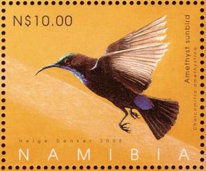 Colnect-3744-575-Amethyst-Sunbird-Chalcomitra-amethystina.jpg