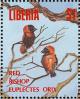 Colnect-1641-782-Northern-Red-Bishop-Euplectes-franciscanus.jpg