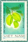 Colnect-1627-892-Carambola-averrhoa-Bilimbi.jpg
