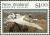 Colnect-2322-125-Brewster-glacier.jpg