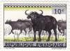 Colnect-1213-549-African-Buffalo-Syncerus-caffer.jpg