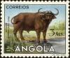 Colnect-4223-095-African-Buffalo-Syncerus-caffer.jpg