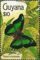 Colnect-3453-705-Brush-footed-Butterfly-Prepona-pheridamas.jpg