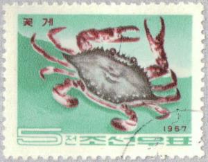 Colnect-2614-044-Gazami-Crab-Portunus-trituberculatus.jpg