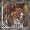 Colnect-912-102-Collie-Canis-lupus-familiaris.jpg