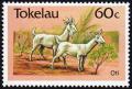 Colnect-1822-968-Goat-Capra-aegagrus-hircus.jpg